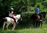 at binicilik etkinliği